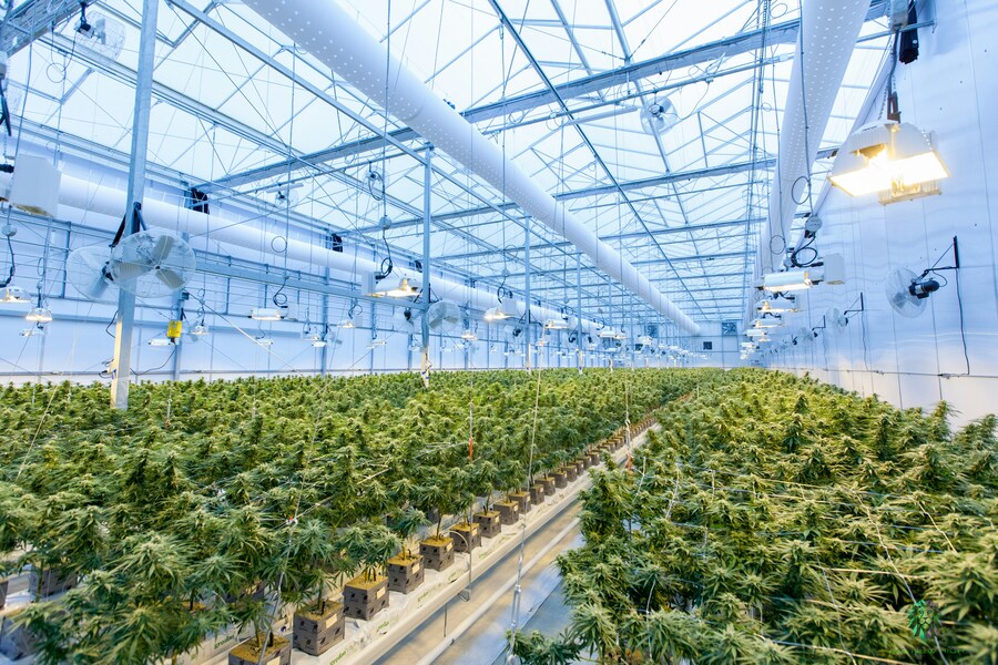 packaging automation